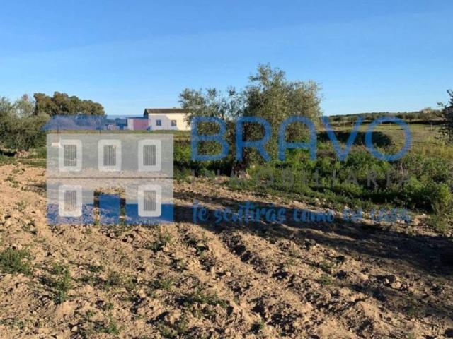 Terreno en venta en La Haba, Extremadura