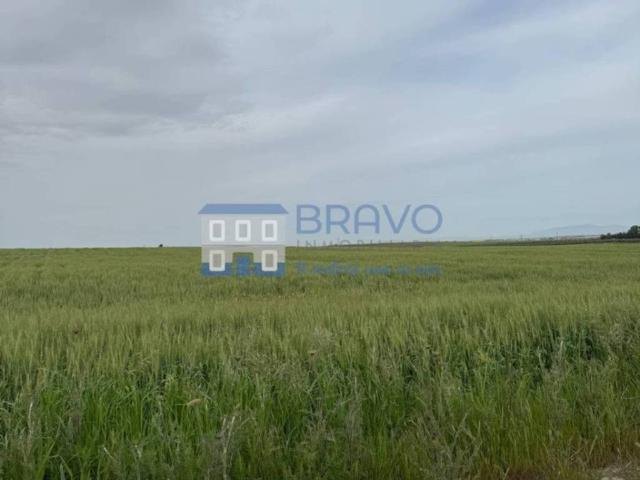 Terreno en venta en La Haba, Extremadura