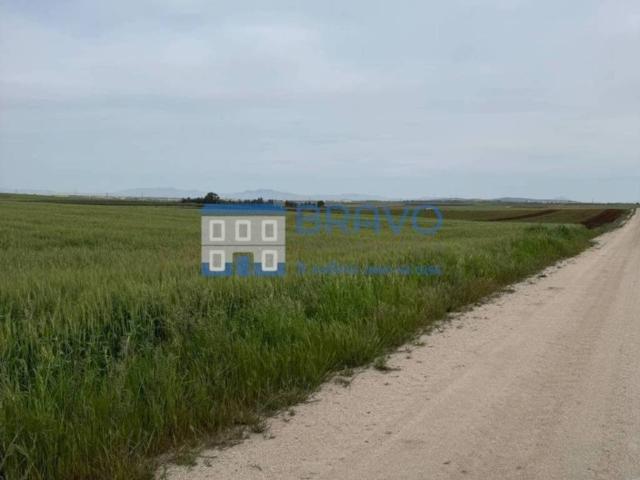 Terreno en venta en La Haba, Extremadura