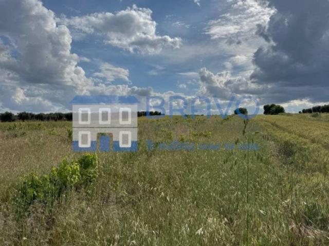Terreno en venta en La Haba, Extremadura