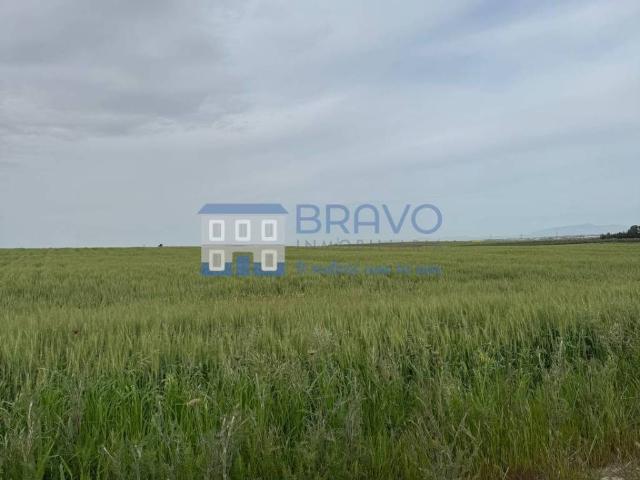 Terreno en venta en La Haba