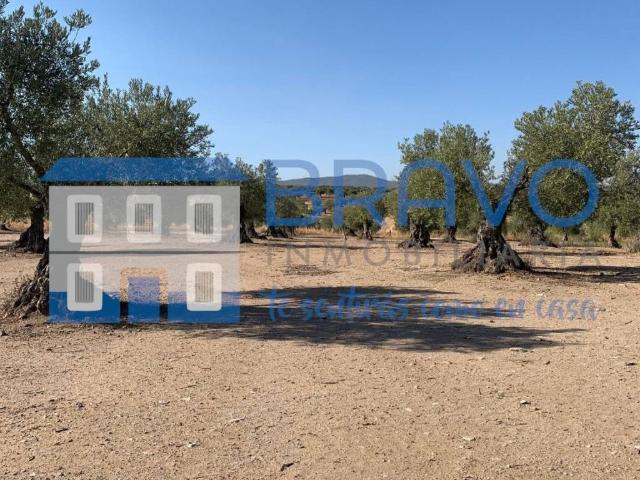 Terreno en venta en La Haba