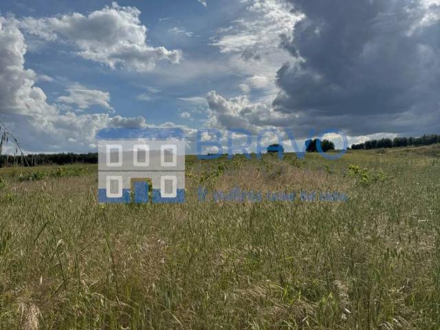 Terreno en venta en La Haba Terreno en venta en La Haba