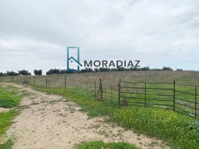 Terreno en venta en La Haba, Badajoz