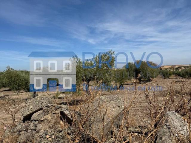 Terreno en venta en La Haba, Badajoz