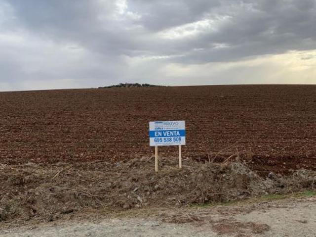Terreno en venta en La Haba, Urbanización Camino de Santa María