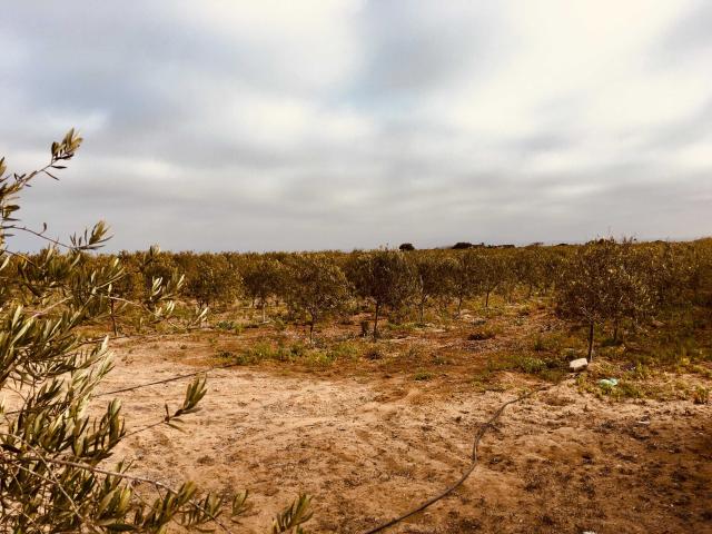 Terreno en venta en Paihuano, Coquimbo