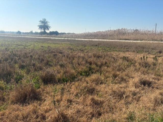 Terreno en venta en La Hoya, Salamanca