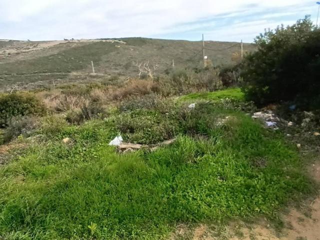 Terreno en venta en Campo de Gibraltar, Andalucía