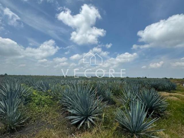Terreno en venta en Venustiano Carranza, Michoacán