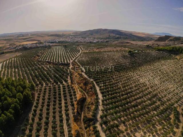 Terreno en venta en Comarca de Alhama, Andalucía