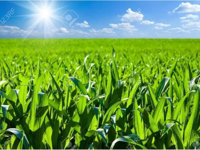 Terreno en venta en La Maya, Castilla y León