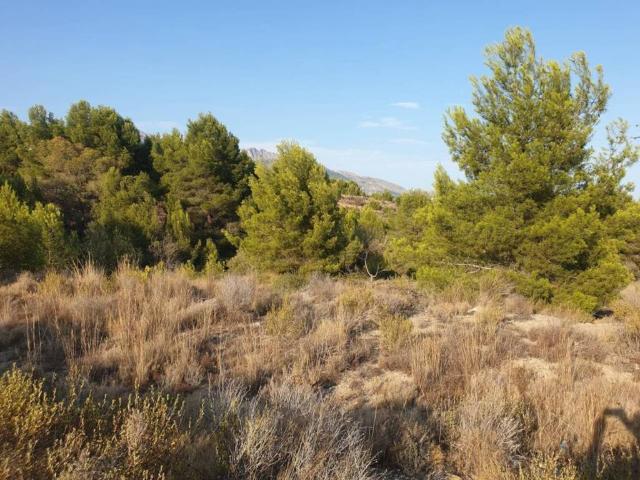 Terreno en venta en la Marina Baixa, Valencia