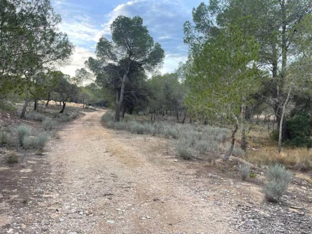 Terreno en venta en la Marina Baixa, Valencia