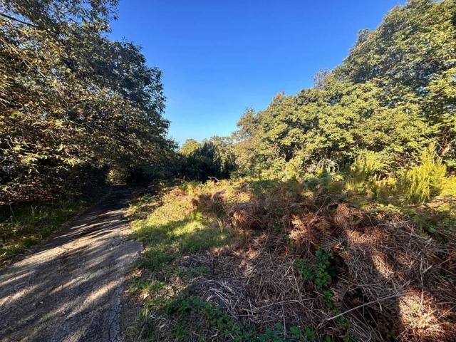 Terreno en venta en La orotava, Tenerife