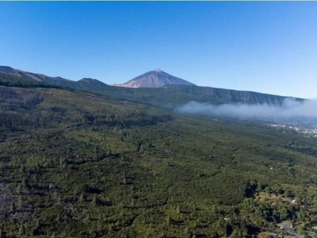Terreno en venta en La orotava, Canarias