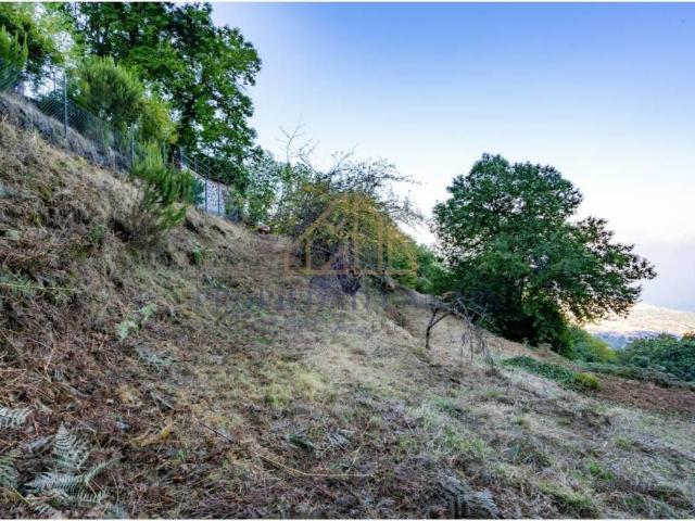 Terreno en venta en La orotava, Canarias