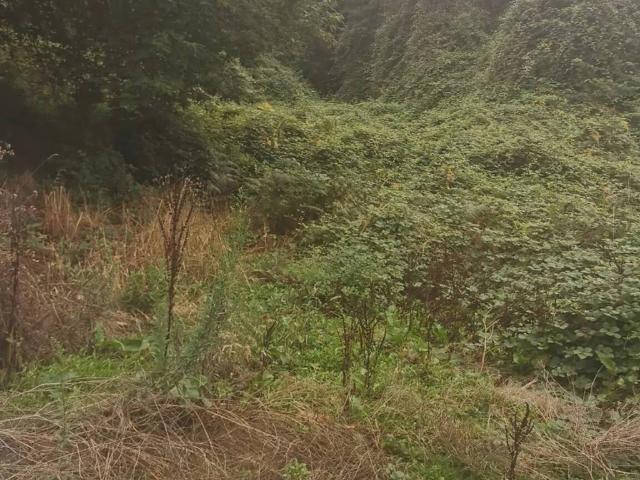 Terreno en venta en La orotava, Tenerife