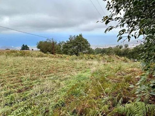 Terreno en venta en La orotava, Canarias