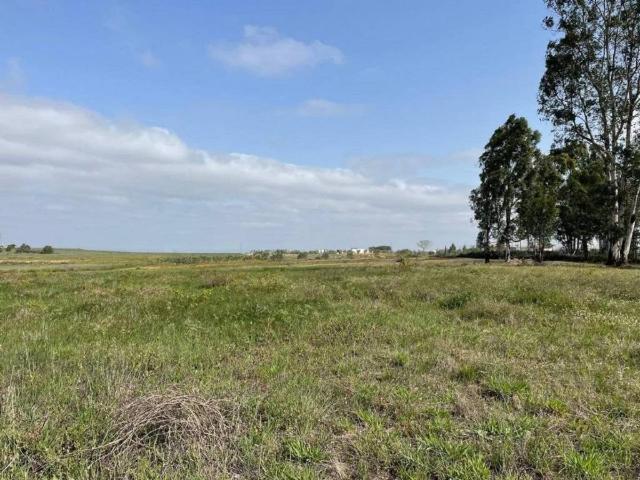 Terreno en venta en La Palma del Condado, Huelva