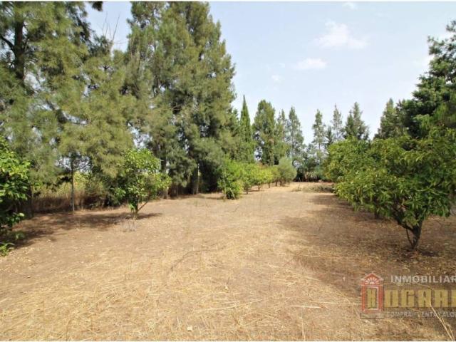 Terreno en venta en El Condado, Andalucía