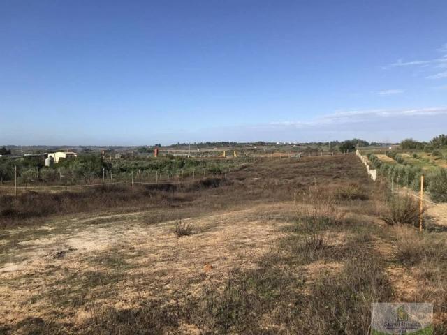 Terreno en venta en El Condado, Andalucía
