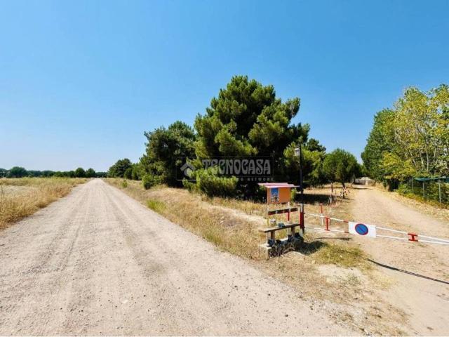 Terreno en venta en La Pedraja De Portillo, Castilla y León
