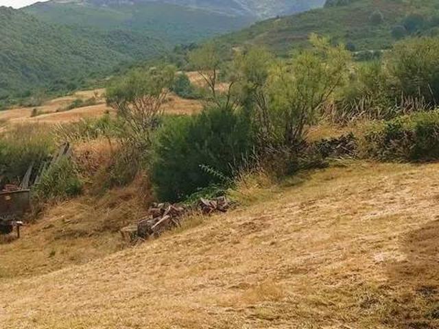 Terreno en venta en La Pernía, Castilla y León