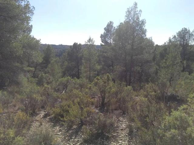 Terreno en venta en La Pesquera, Castilla-La Mancha