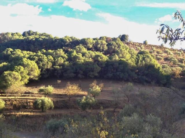 Terreno en venta en Comarca de Guadix, Andalucía