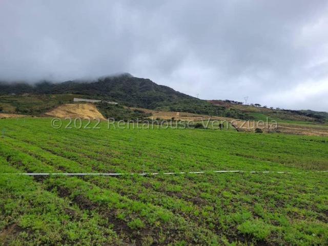 Propiedad en venta en Rivas Dávila, Mérida