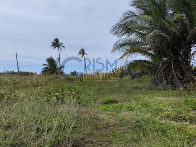 Terreno en venta en Tamiahua, Veracruz