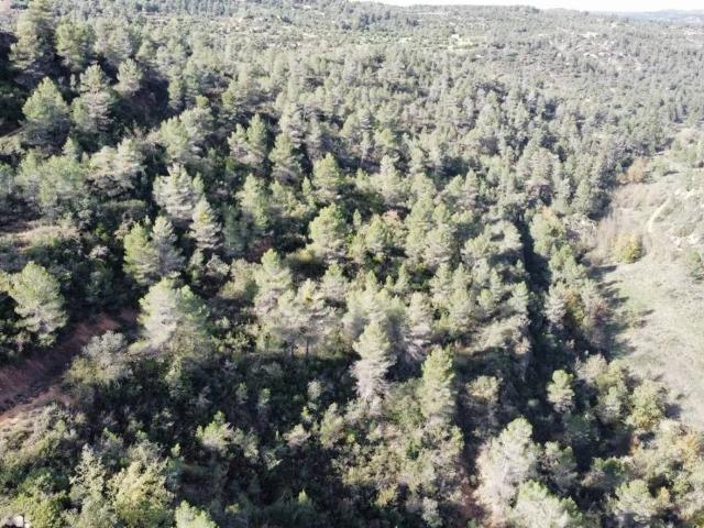 Terreno en venta en Garrigues, Catalunya