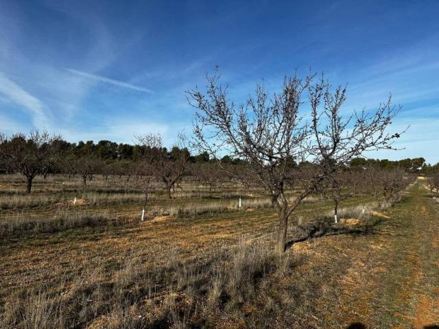 Terreno en venta en Garrigues, Catalunya