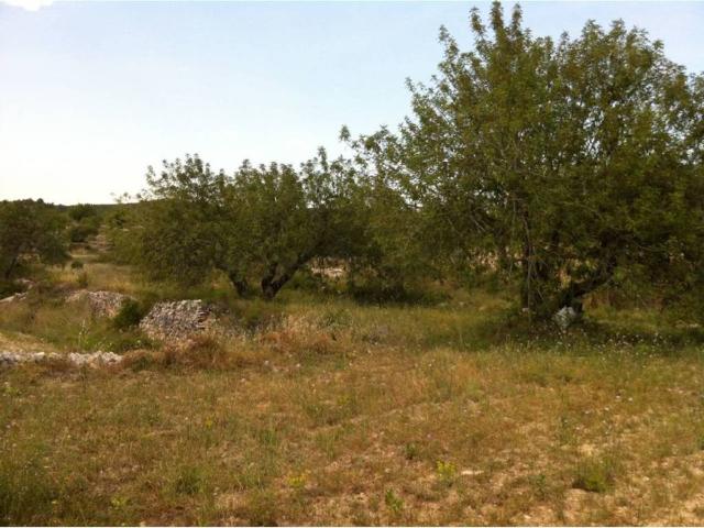 Terreno en venta en el Castell de Montornès, Tarragonès