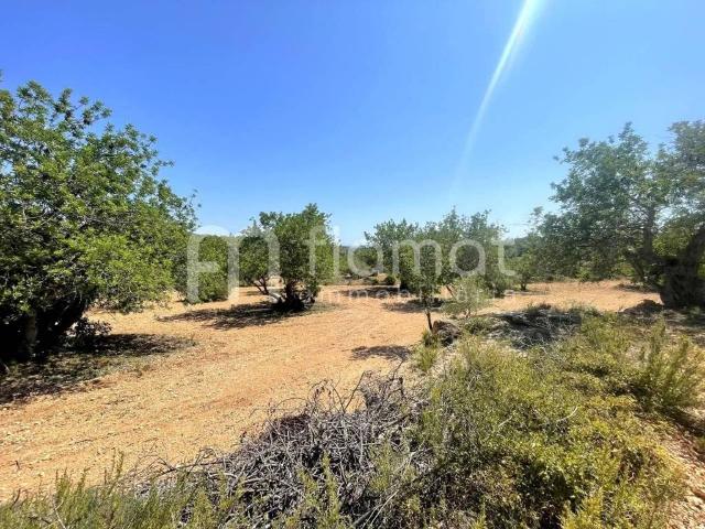 Terreno en venta en Tarragonès, Catalunya