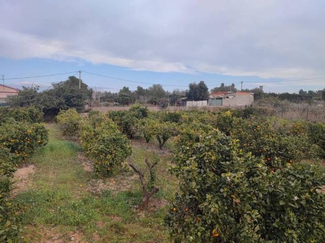 Terreno en venta en el Camp de Túria, Valencia