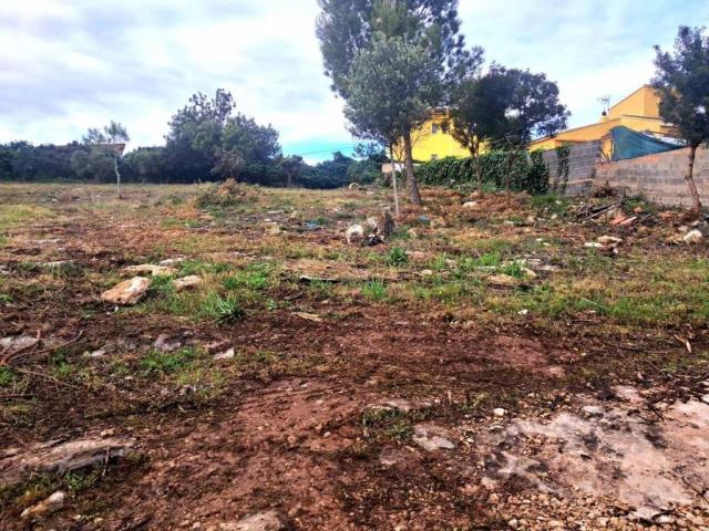 Terreno en venta en el Camp de Túria, Valencia