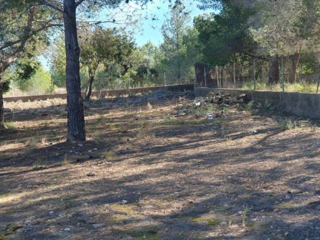 Terreno en venta en el Camp de Túria, Valencia