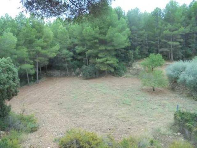 Terreno en venta en la Plana Alta, Valencia