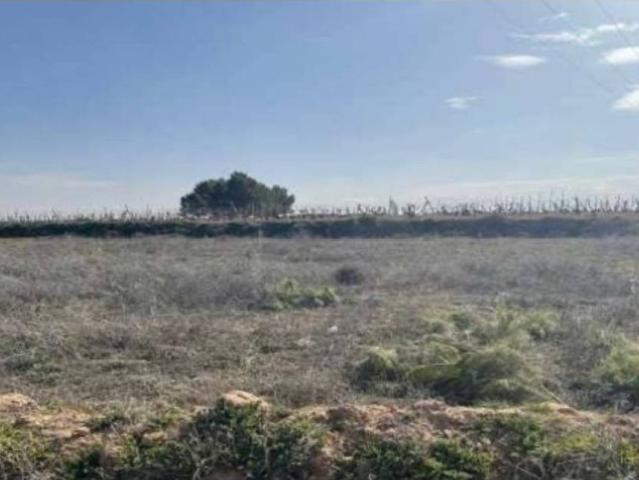 Terreno en venta en La Puebla De Almoradiel