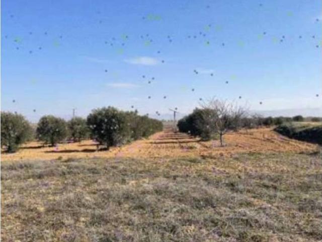 Terreno en venta en La Puebla De Almoradiel, Castilla-La Mancha