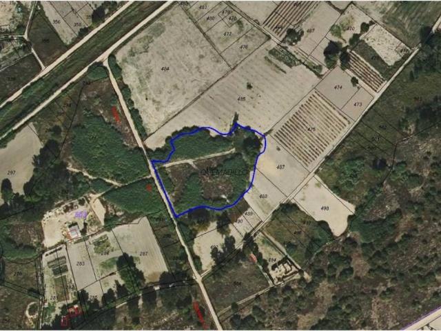 Terreno en venta en La Puebla De Almoradiel