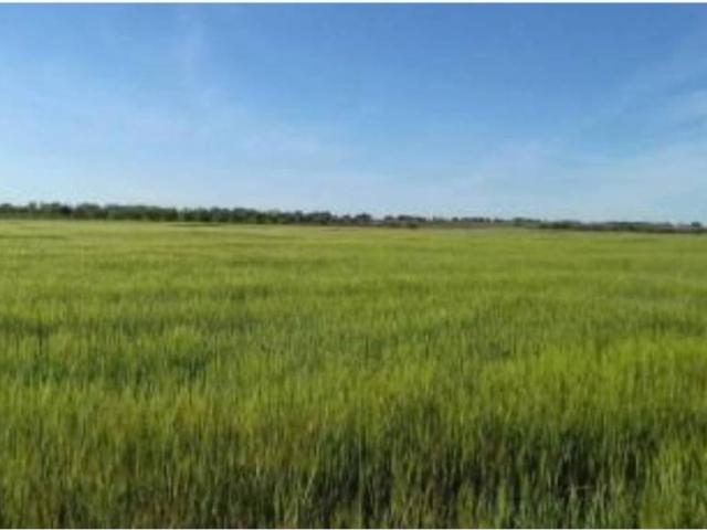 Terreno en venta en La Puebla De Almoradiel