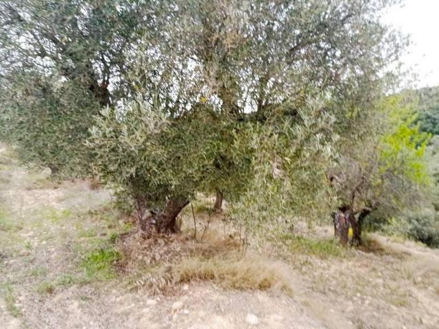 Terreno en venta en La Puebla de Castro, Ribagorza