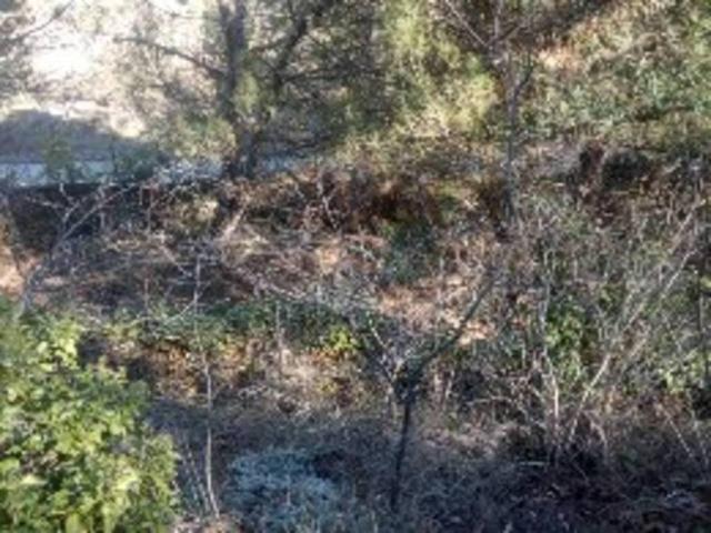 Terreno en venta en Veracruz, Aragón