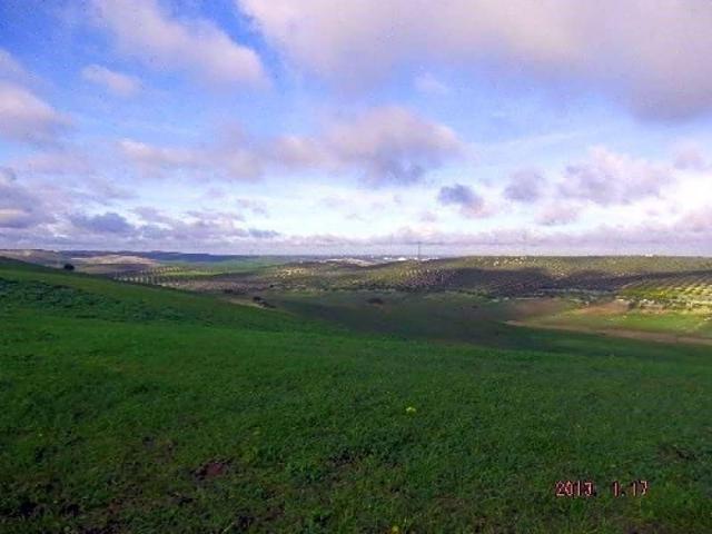 Terreno en venta en La Puebla De Cazalla, Andalucía