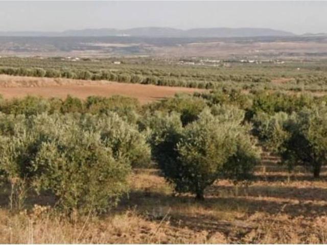 Terreno en venta en La Puebla De Montalbán