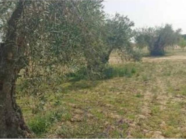 Terreno en venta en La Puebla De Montalbán