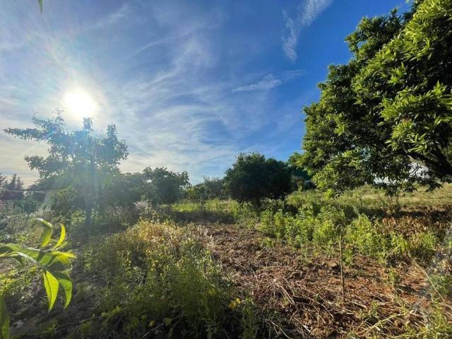 Terreno en venta en La Puebla Del Río, Andalucía